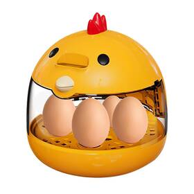 2517173a1k Toyandona Egg Incubators For 4 Capacity Small Incubator Kids Ch