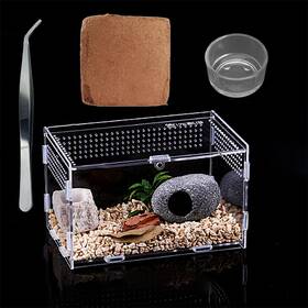 Treelf 711691647718 Micro Habitat Glass Container Reptile Terrarium Amphibian Tank Starter Kit 4p