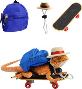 Tk888 Ttmimik 3 Pack Bearded Dragons Accessories Toy Lizard Backpack Adjustable Hat And Mini