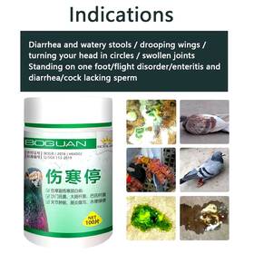 Turbo-roofinds 445015641665 Pigeon Typhoid Fever Stop Salmonella Water Green Stool Joint Swelling Enteritis