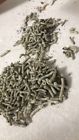 Unbranded Live Silkworms Silk Worms Free Shipping Bombyx Mori