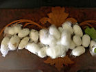 Unbranded Silkworm Silk Moth Cocoons Live