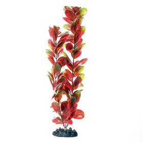 Underwater Treasures 628742004423 Red Green Bacopa Plant Select Size 16 Inch