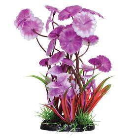 Underwater Treasures 628742011582 Fuscia Love Lily Plant 8 Inch