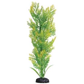 Underwater Treasures 628742011988 Water Violet Plant Select Size 16 Inch