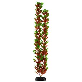 Underwater Treasures 628742018413 Red Green Bacopa Plant Select Size 24 Inch
