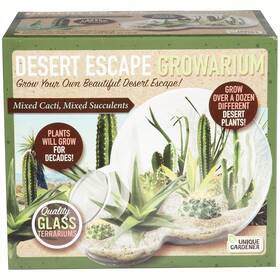 Tgde-221 Unique Gardener Desert Escape Growarium - Diy Cactus And Succulent Terrarium Kit