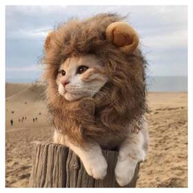 Urnat 275306948576 Cat Wig Funny Cute Costume Hat Lion Mane Accessories Dress Up Clothing Fe