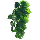 Us105831h3dgl582 Terrarium Categories Plant Govine
