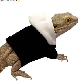 J0md7hh1406719 Usa-viralfinds Bearded Dragon Clothes Costume Accessories Apparel Clothing Hand-made Warm