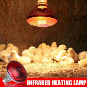 Usjiangm 445006423447 250w Infrared Heat Lamp Waterproof Anti-explosion Thickened Light Bulbs For Pigl