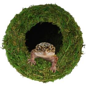 Usmola 762715355072 Mossy Caves Artificial Green Moss Hide For Pet Reptile Frogs And Snakes