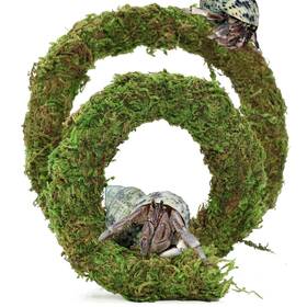 Usmola 762949512722 Bendable Hermit Crab Climbing Toys Adjustable Fake Moss Vine For Pet Snail He