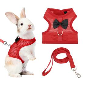 Uxcell 683007493480 Rabbit Harness And Leash Small Pet Cute Vest M Red