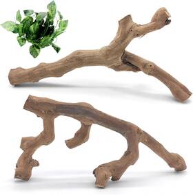 Hx026 Vcepjh Snake Climbing Branch 2pcs Reptile Wood Natural Cork Log Tank