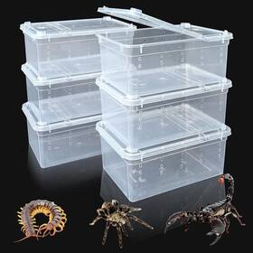 Hx038-w Vcepjh 6 Pcs Spider Terrarium Small Plastic Insect Cage White