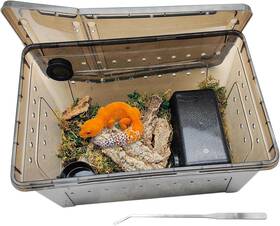 Tp070-b Vcepjh Large Reptile Breeding Box Plastic Feeding Black - Set Of 5