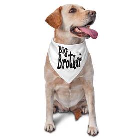 Vercosee 768795390965 Big Brother Dog Bandana White Reversible Gender Reveal Baby Announcement Scarf