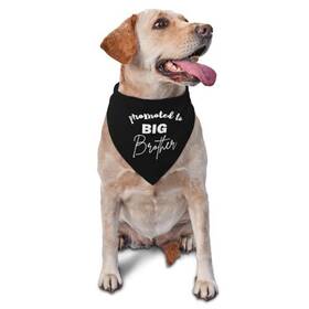Vercosee 768795390972 Promoted To Big Brother Dog Bandana Gender Reveal Reversiblephoto