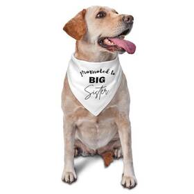 Vercosee 768795390996 Promoted To Big Sister Dog Bandana Moms Pregnant Bandanaspregnancy Announ