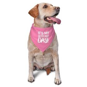 Vercosee 768795391078 Its My Gotcha Day Adoption Pet Dog Scarf Accessoriespet Neckerchief For