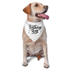 Vercosee 768795861991 Birthday Boy Dog Bandana Party Accessories Pet