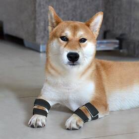 Vomvomp 744110335040 One Pair Of Dog Stopper Pad Protectors For Dogs Carpal Protection Front Leg
