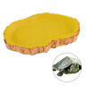 W2657472238020 Reptile Tortoise Water Dish Food Feeder Bowl For 0657472238020