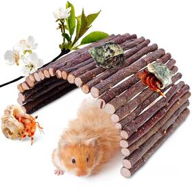 Hcc101-1 Warmfarm Hermit Crab Hideout And Climbing Toys - Large Size Reptile Decor For S