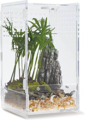 Wbhonghui 445004849812 Acrylic Clear Reptile Habitat Enclosure Terrarium With Latch Perfect For Amphib