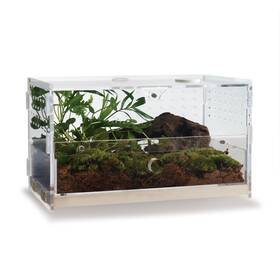 Wbhonghui 795958607929 Acrylic Clear Reptile Habitat Enclosure Terrarium With Latch Perfect For Amp
