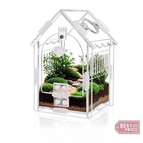 Bolang-zz-us-2 Weikejina Jumping Spider Enclosure Dimensions 3.15 Inch X3.15 X5.6 Acrylic Terrarium Kit