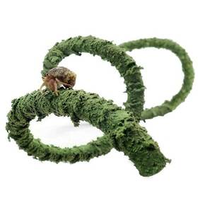 Wenriko 749666863818 Hermit Crab Climbing Toys 39 Inches Bendable Vine Herm