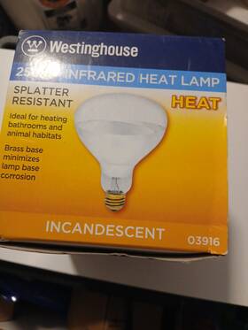 03916 Westinghouse Heat Bulb And Brooder