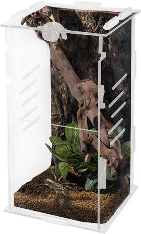Winemana 445047910906 Small Reptile Jumping Spider Terrarium Enclosure 4 Inch X 8 Acrylic