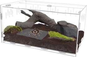 Winemana 744110400786 Reptile Terrarium Tarantula Enclosure 16 Inch X 11 6 Acrylic Large