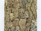 Wlbar-col30030018 Jelinek Cork Group Terrarium 059733701227
