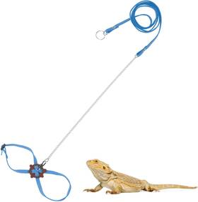 Wontee 313025040037 2 Pack Adjustable Reptile Harness And Leash For Lizard Gecko Bearded Dragon Outs
