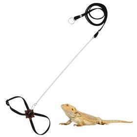 Wontee 639510345778 2 Pack Adjustable Reptile Harness And Leash For Lizard Gecko Bearded Dragon O