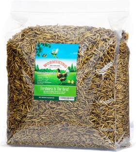 Wormsking 194852614444 5lb Dried Black Soldier Fly Larvae More Calcium Than 5 Pound Pack Of 1