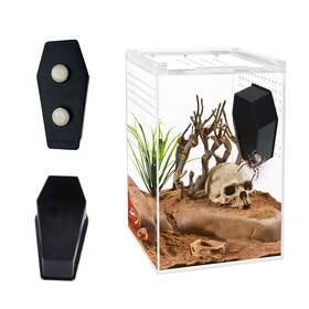 Wzttdm 630504930116 2 Pack Jumping Spider Coffin With Magnets For Pet Enclo
