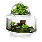 X15.25 Biobubble Terrarium Reptile Natural Habitat 24 X25 Easy Clean Up New