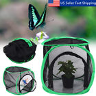 Xcw822968 Unbranded Foldable Praying Mantis Stick Net Insect Butterfly 8118277995959