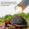 Xns9921429426314ne Kkmoon Pet Amphibians Lizards Heating Bulb Turtle Basking 736561554460