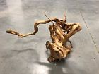 Xsp17 Unbranded Redmoor Wood Driftwood Plant