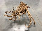 Xsp19 Unbranded Redmoor Wood Driftwood Plant