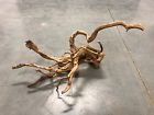 Xsp20 Unbranded Redmoor Wood Driftwood Plant