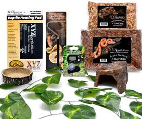 Xyzreptiles 850014649067 Boa Constrictor Snake Habitat 10 Gallon Terrarium Starter Kit