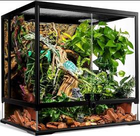 Xyzreptiles 850014649791 43 Gallon Professional Glass Terrarium 24 Inch X18 X24 Durable Reptile Habitat Tank
