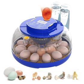 W001 Yenam 18 Egg Incubator With Automatic Turning And Humidity Control Incubators